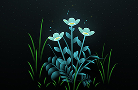 jQuery+css实现夜晚花朵绽放动画